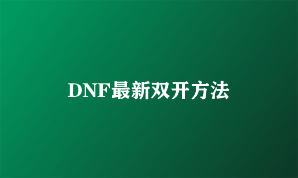 DNF最新双开方法