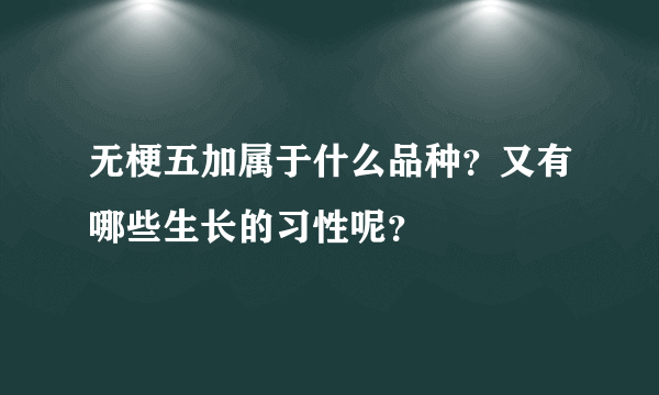 无梗五加属于什么品种？又有哪些生长的习性呢？