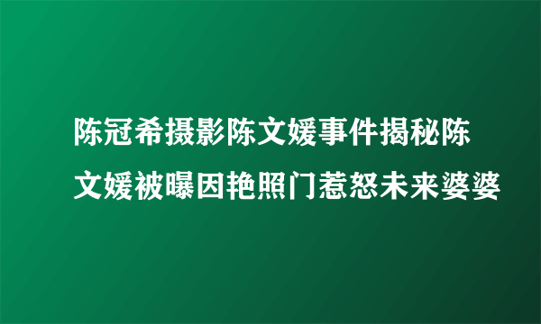 陈冠希摄影陈文媛事件揭秘陈文媛被曝因艳照门惹怒未来婆婆