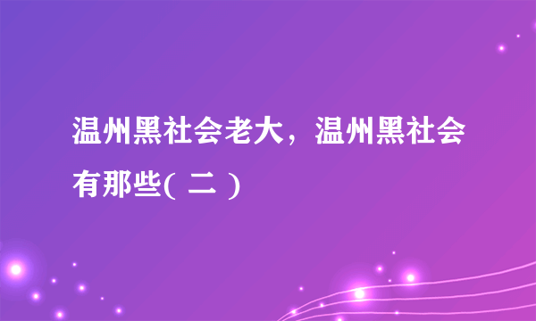 温州黑社会老大，温州黑社会有那些( 二 )