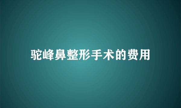 驼峰鼻整形手术的费用