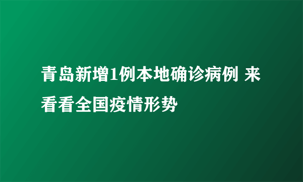 青岛新增1例本地确诊病例 来看看全国疫情形势