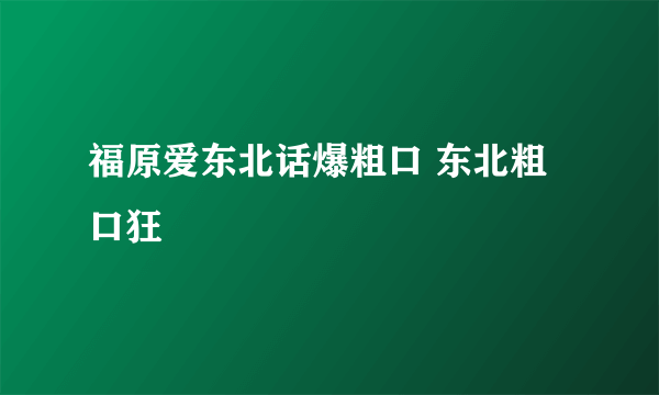 福原爱东北话爆粗口 东北粗口狂