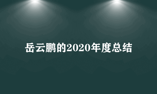 岳云鹏的2020年度总结