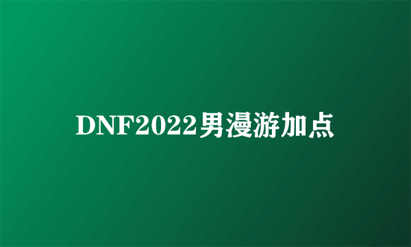 DNF2022男漫游加点