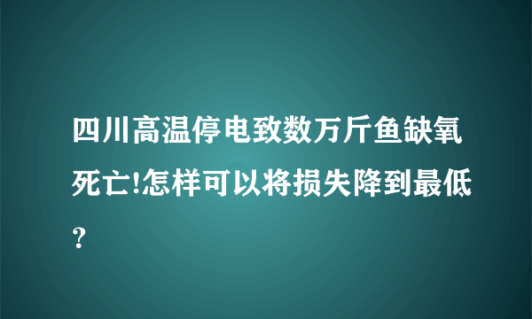 四川高温停电致数万斤鱼缺氧死亡!怎样可以将损失降到最低？