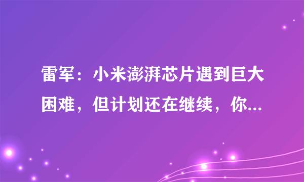 雷军：小米澎湃芯片遇到巨大困难，但计划还在继续，你怎么看？