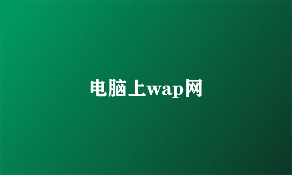 电脑上wap网