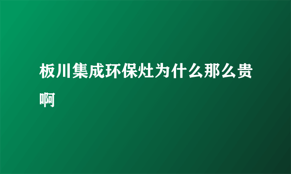 板川集成环保灶为什么那么贵啊