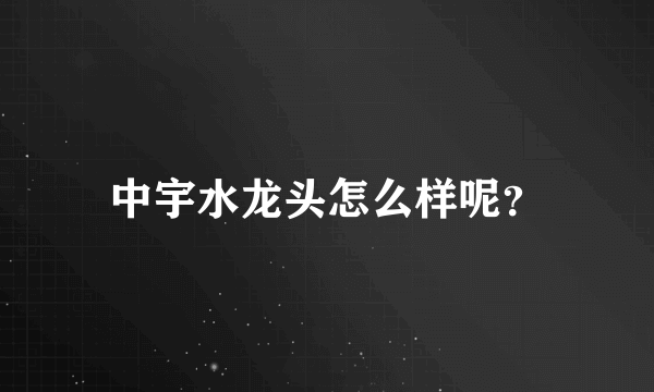 中宇水龙头怎么样呢？