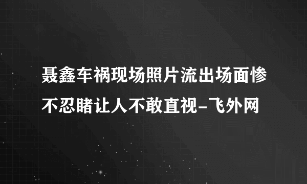 聂鑫车祸现场照片流出场面惨不忍睹让人不敢直视-飞外网