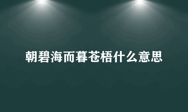 朝碧海而暮苍梧什么意思