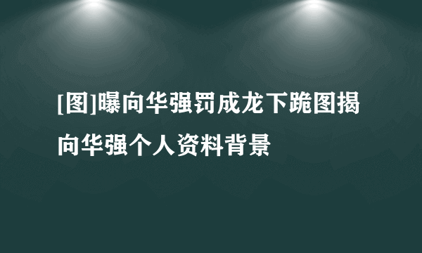 [图]曝向华强罚成龙下跪图揭向华强个人资料背景