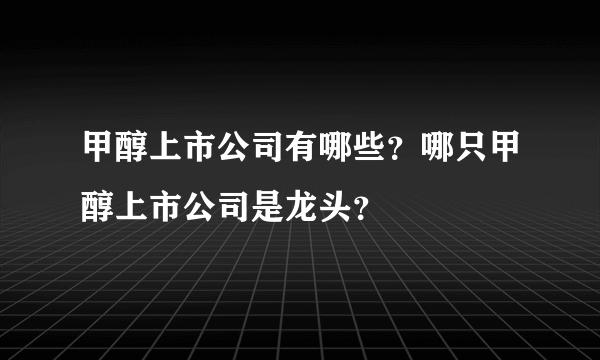 甲醇上市公司有哪些？哪只甲醇上市公司是龙头？