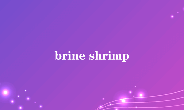 brine shrimp