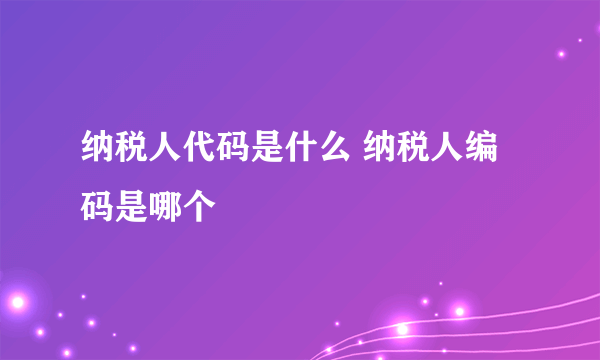 纳税人代码是什么 纳税人编码是哪个