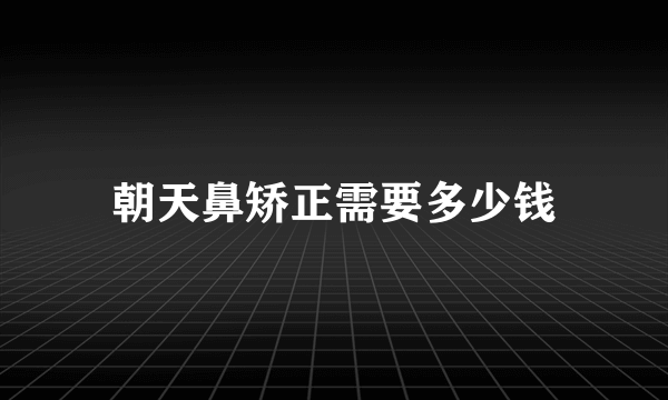 朝天鼻矫正需要多少钱