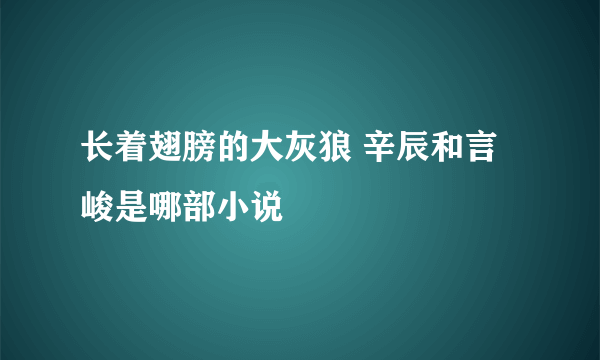 长着翅膀的大灰狼 辛辰和言峻是哪部小说