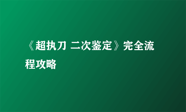 《超执刀 二次鉴定》完全流程攻略