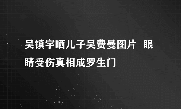 吴镇宇晒儿子吴费曼图片  眼睛受伤真相成罗生门