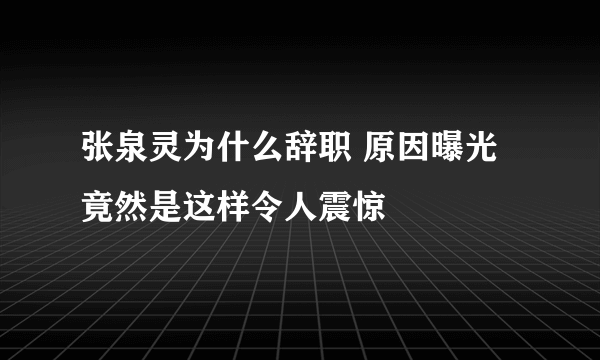 张泉灵为什么辞职 原因曝光竟然是这样令人震惊