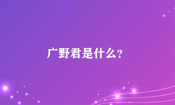 广野君是什么？