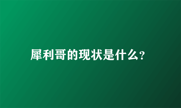 犀利哥的现状是什么？