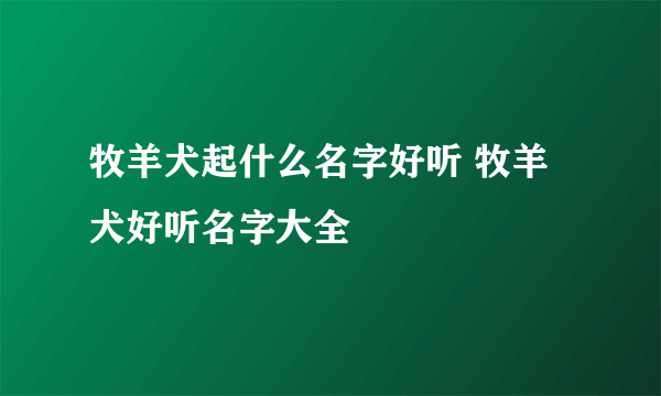 牧羊犬起什么名字好听 牧羊犬好听名字大全