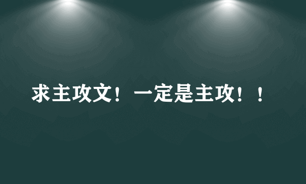 求主攻文！一定是主攻！！