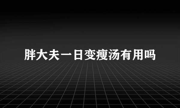 胖大夫一日变瘦汤有用吗