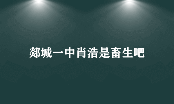 郯城一中肖浩是畜生吧