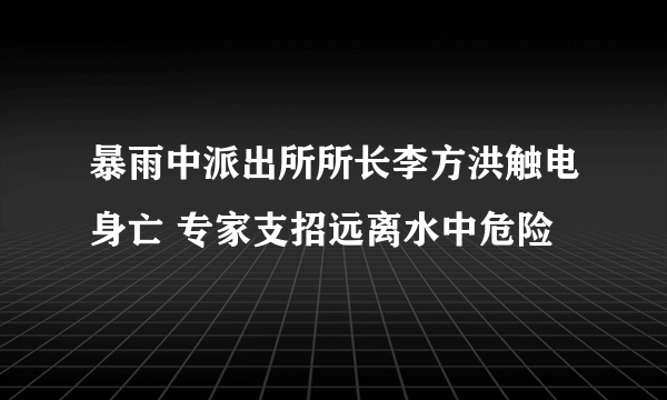 暴雨中派出所所长李方洪触电身亡 专家支招远离水中危险