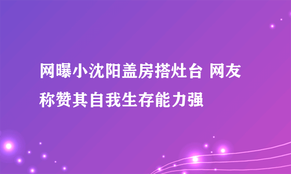 网曝小沈阳盖房搭灶台 网友称赞其自我生存能力强