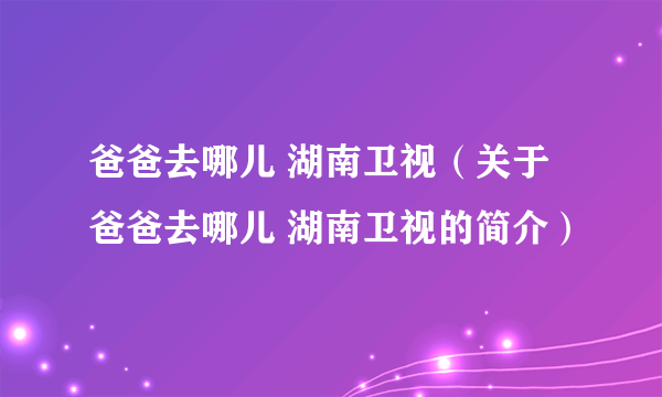 爸爸去哪儿 湖南卫视（关于爸爸去哪儿 湖南卫视的简介）