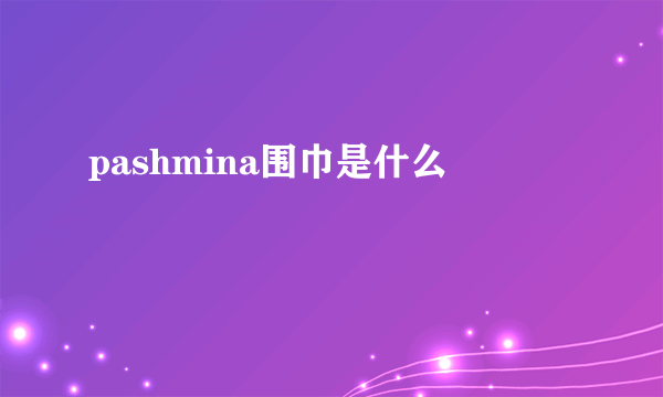 pashmina围巾是什么