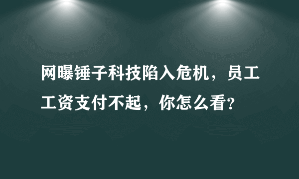 网曝锤子科技陷入危机，员工工资支付不起，你怎么看？