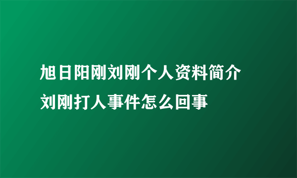 旭日阳刚刘刚个人资料简介 刘刚打人事件怎么回事