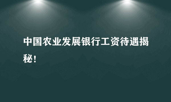 中国农业发展银行工资待遇揭秘！