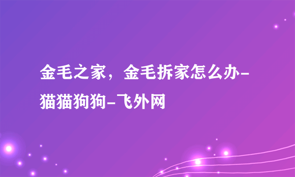 金毛之家，金毛拆家怎么办-猫猫狗狗-飞外网