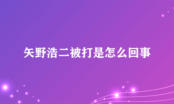 矢野浩二被打是怎么回事