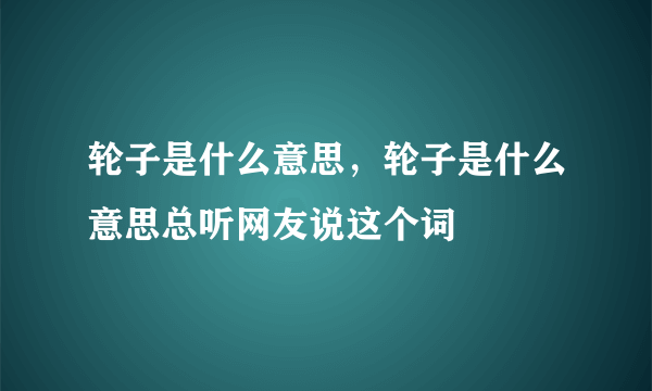 轮子是什么意思，轮子是什么意思总听网友说这个词