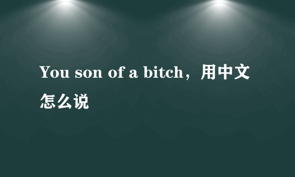 You son of a bitch，用中文怎么说