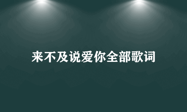 来不及说爱你全部歌词