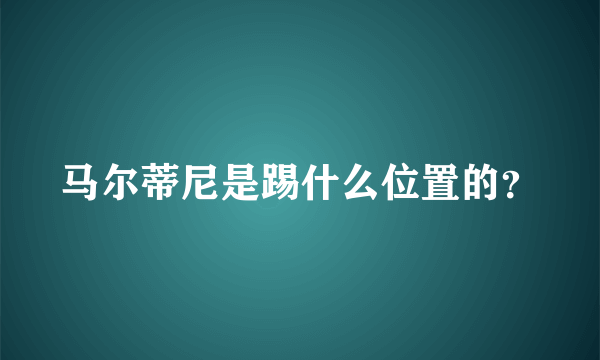 马尔蒂尼是踢什么位置的？