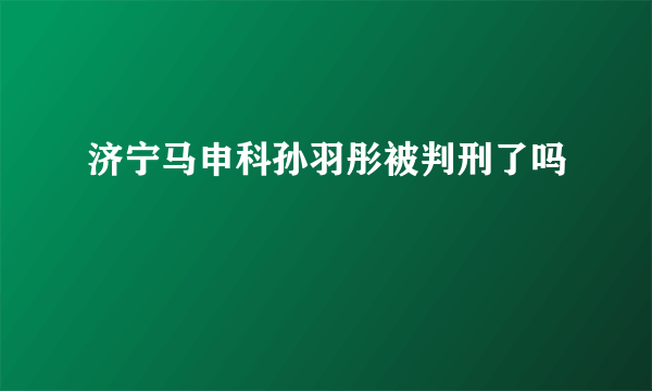 济宁马申科孙羽彤被判刑了吗