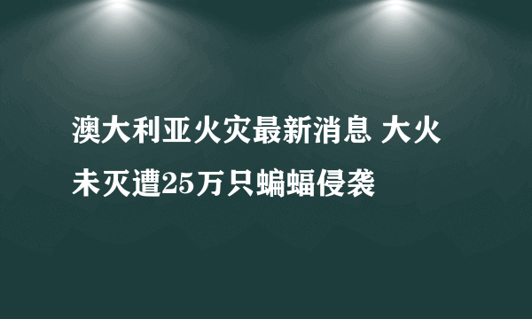 澳大利亚火灾最新消息 大火未灭遭25万只蝙蝠侵袭