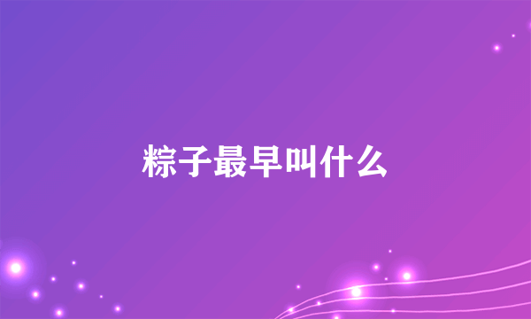 粽子最早叫什么