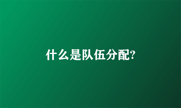 什么是队伍分配?