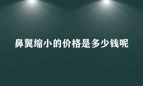 鼻翼缩小的价格是多少钱呢