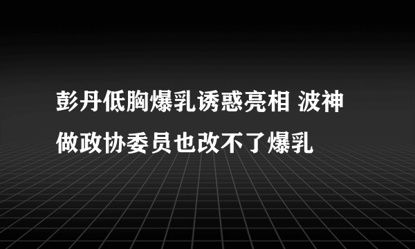 广东省公安厅交通管理局违章查询 广东省交警总队车辆违章查询